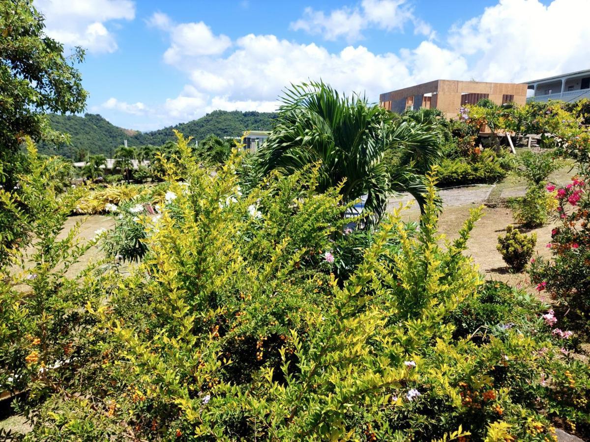 Diamond View * Roseau