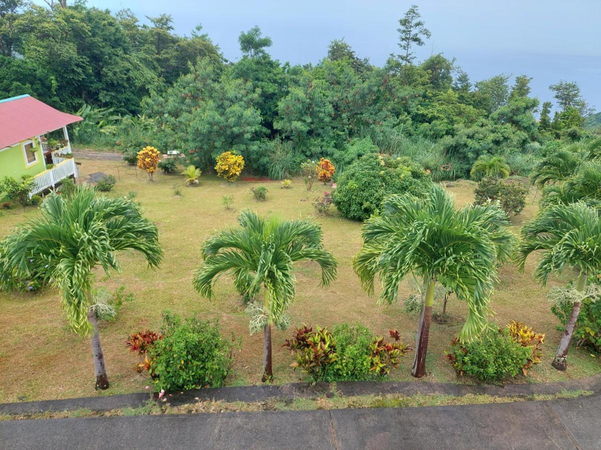 Diamond View Apartment