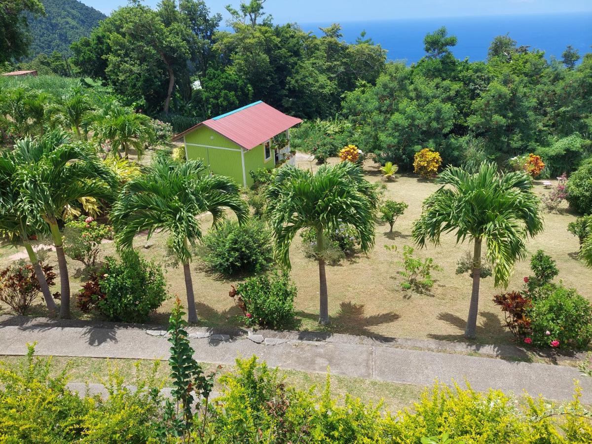 Diamond View Roseau
