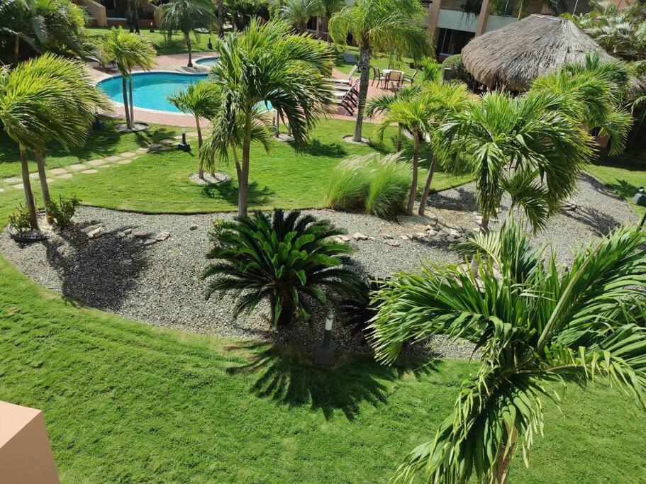 Apartamento Aruba Family Oasis 2br Pool 3min Walk To Eagle