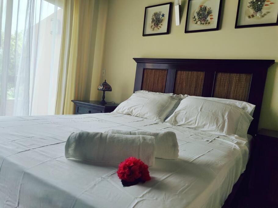 Aruba Family Oasis 2br Pool 3min Walk To Eagle