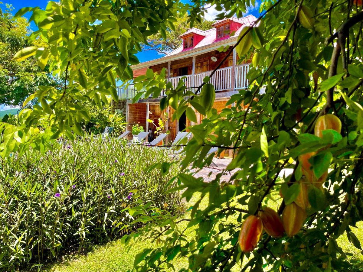 Habitation Cafeiere Samana Beausejour - Guest house Pointe-Noire