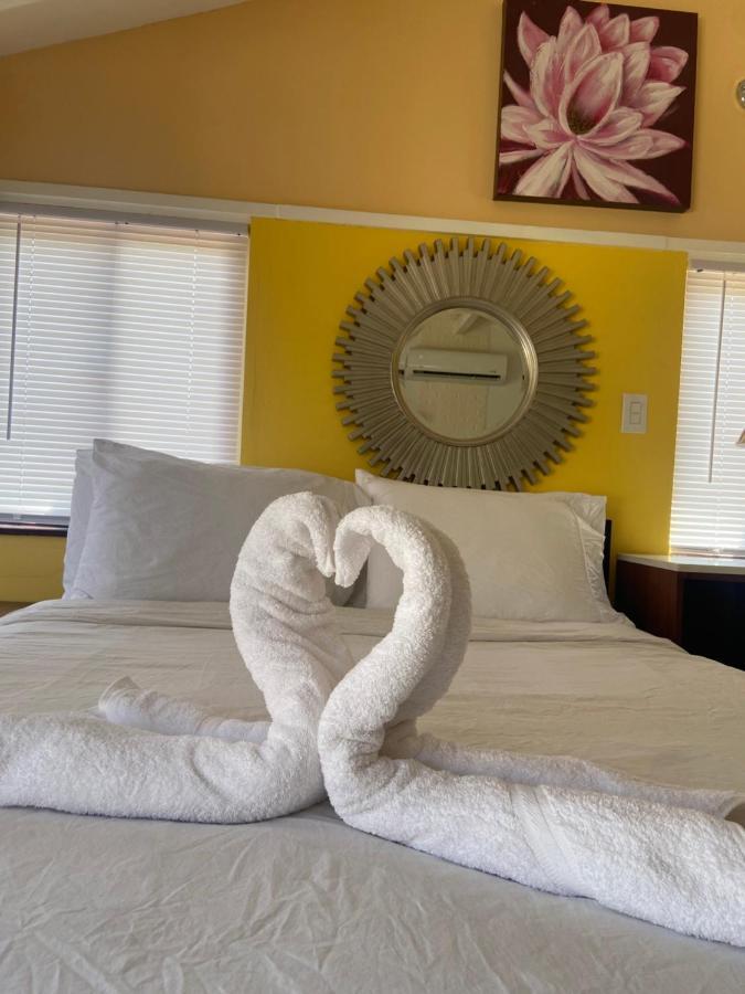 Apartamento Cozy With Private *
