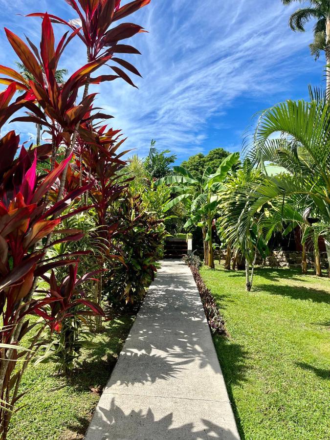 Indigo Palmes Holiday home *