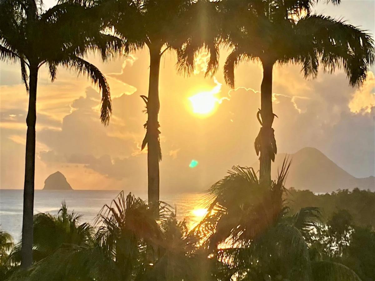 Superbe Martinique Vue Rocher Du Diamant