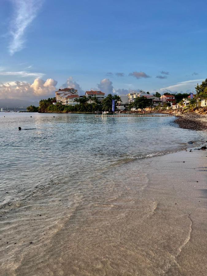 Caraibes 1 - Superbe Cosy Apartment *
