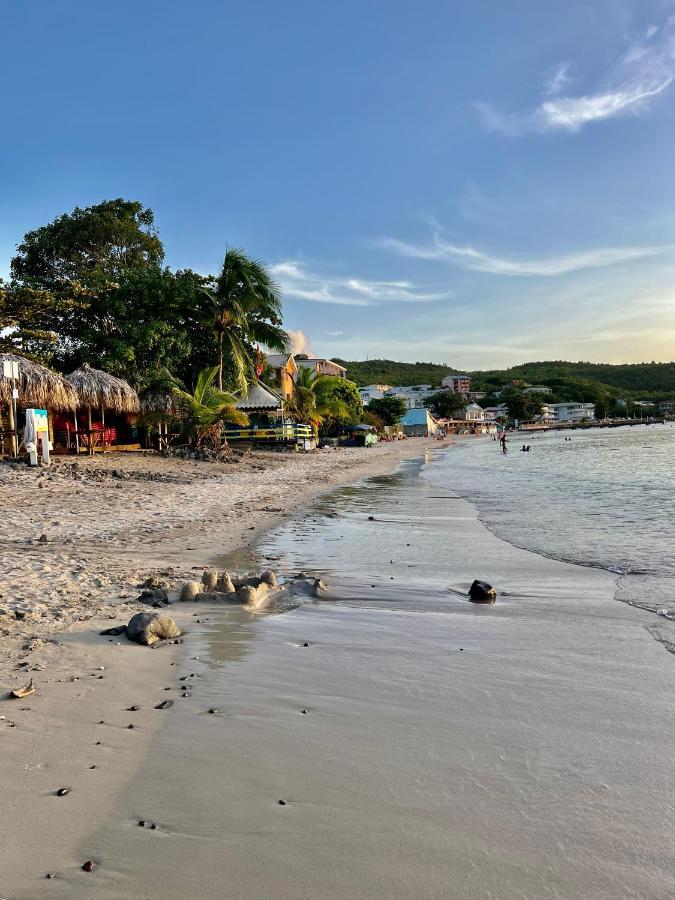Caraibes 1 - Superbe Cosy Les Trois-Ilets