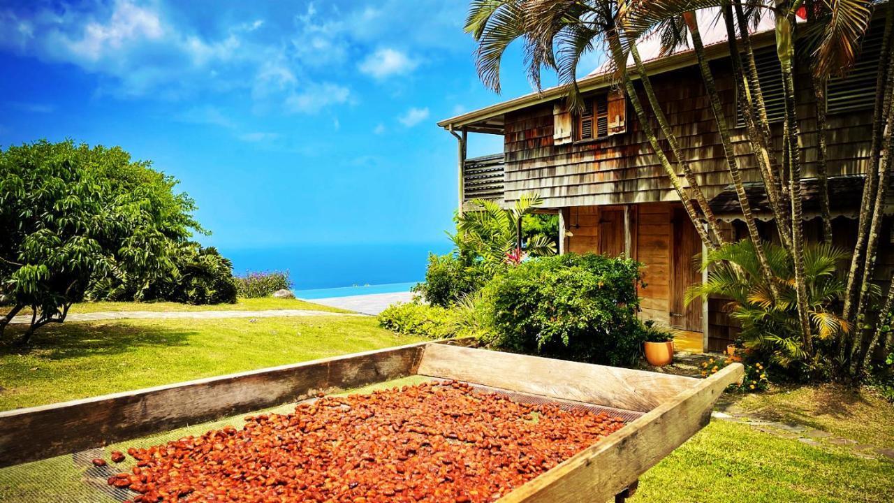 Habitation Cafeiere Samana Beausejour - Guest house Pointe-Noire