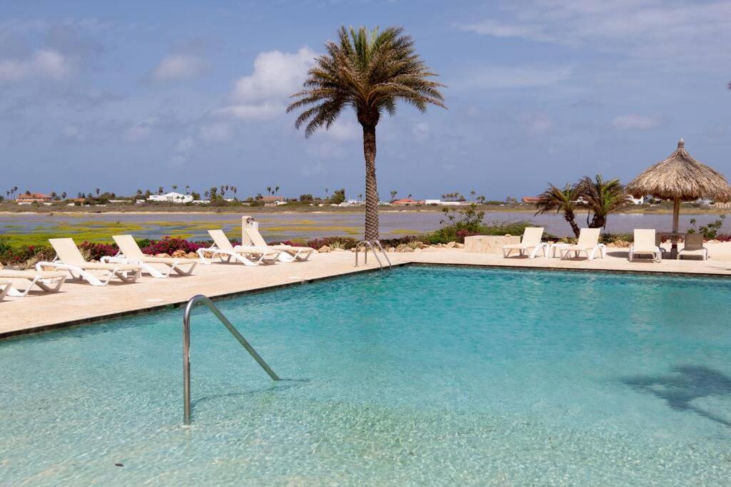 Apartment New! Cozy 1 Bedroom Condo- Gold Coast, Noord Aruba