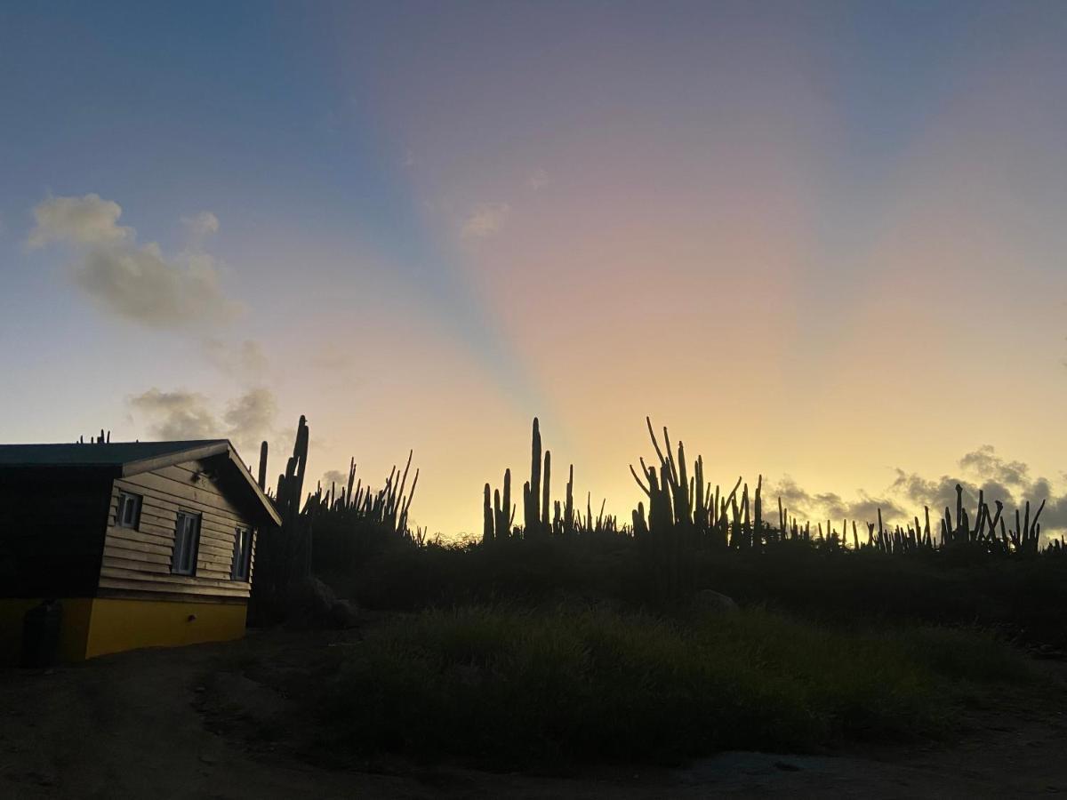 Cozy With Private * Oranjestad