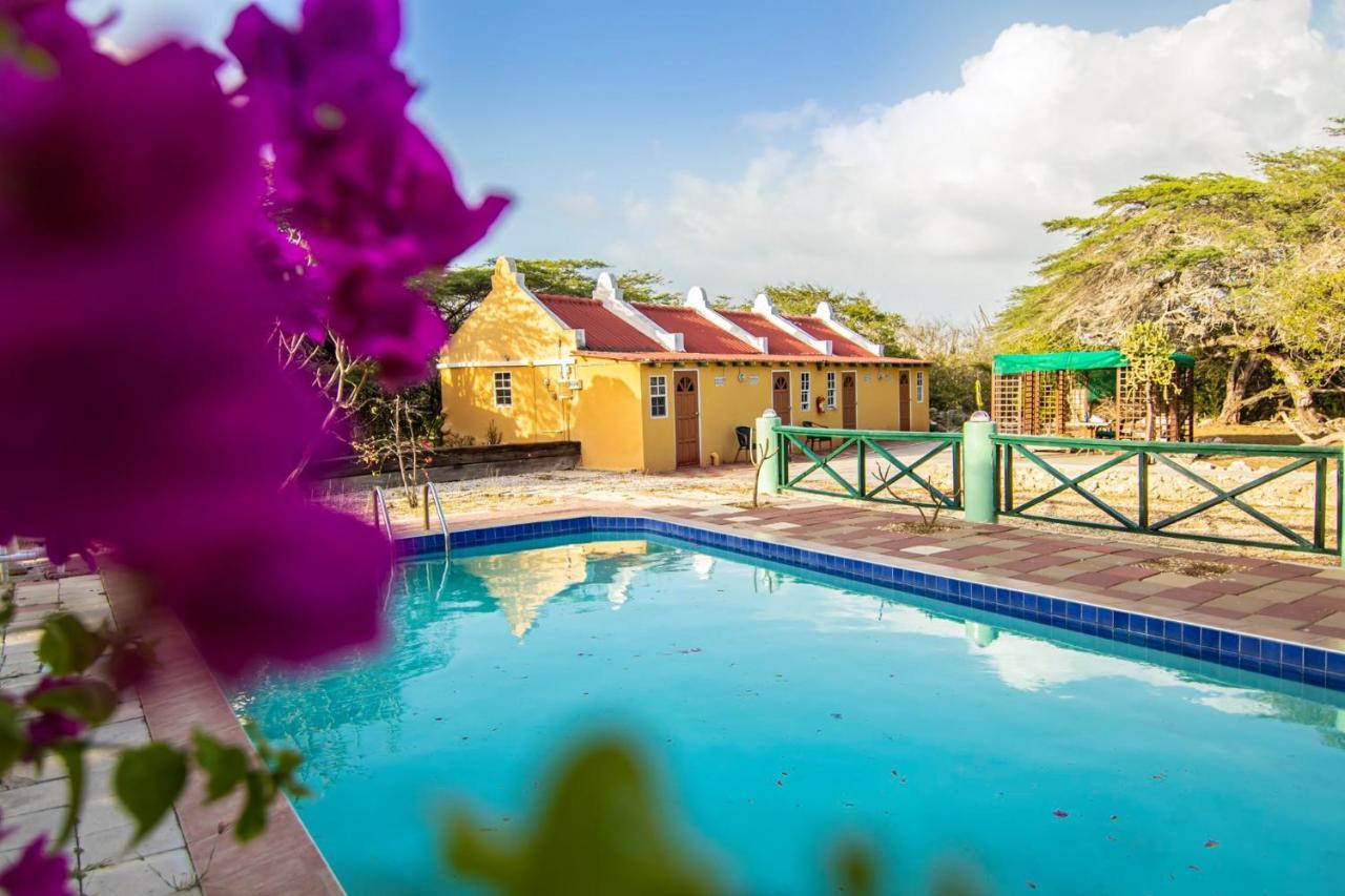 Hotel Daniel - Plantation House 3*