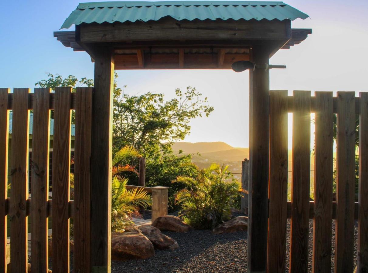 Aleli Lodge *