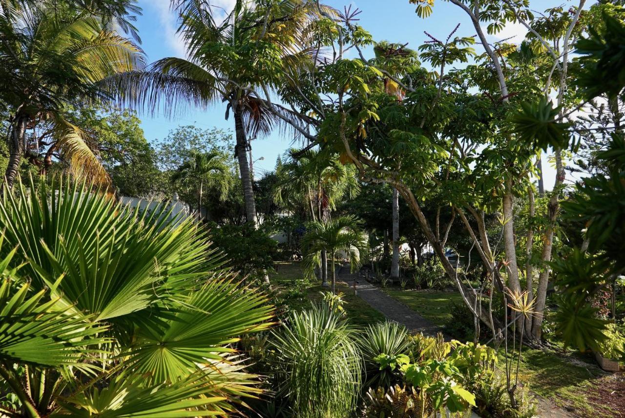Quill Gardens Boutique Hotel Oranjestad (Sint Eustatius)