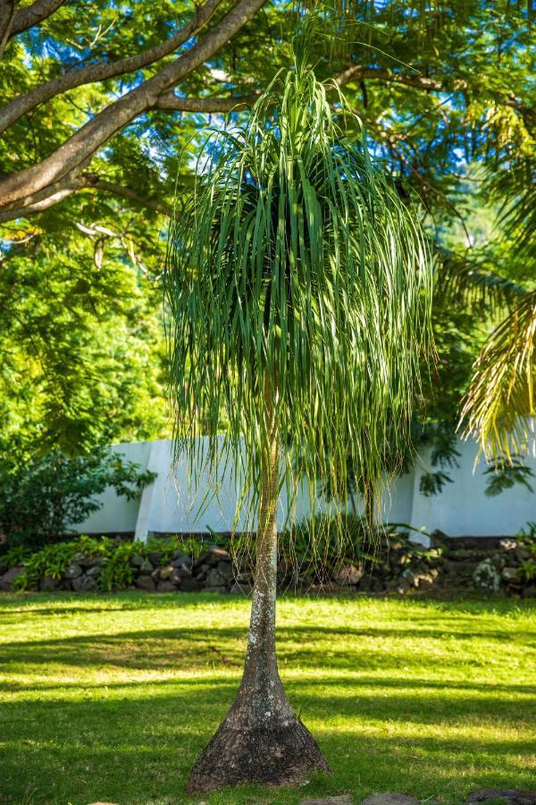 Hotel Quill Gardens Boutique Oranjestad (Sint Eustatius)