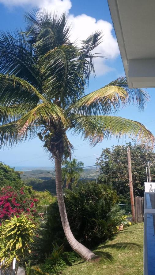 Lodge Million Dollar View In Puerto Rico *