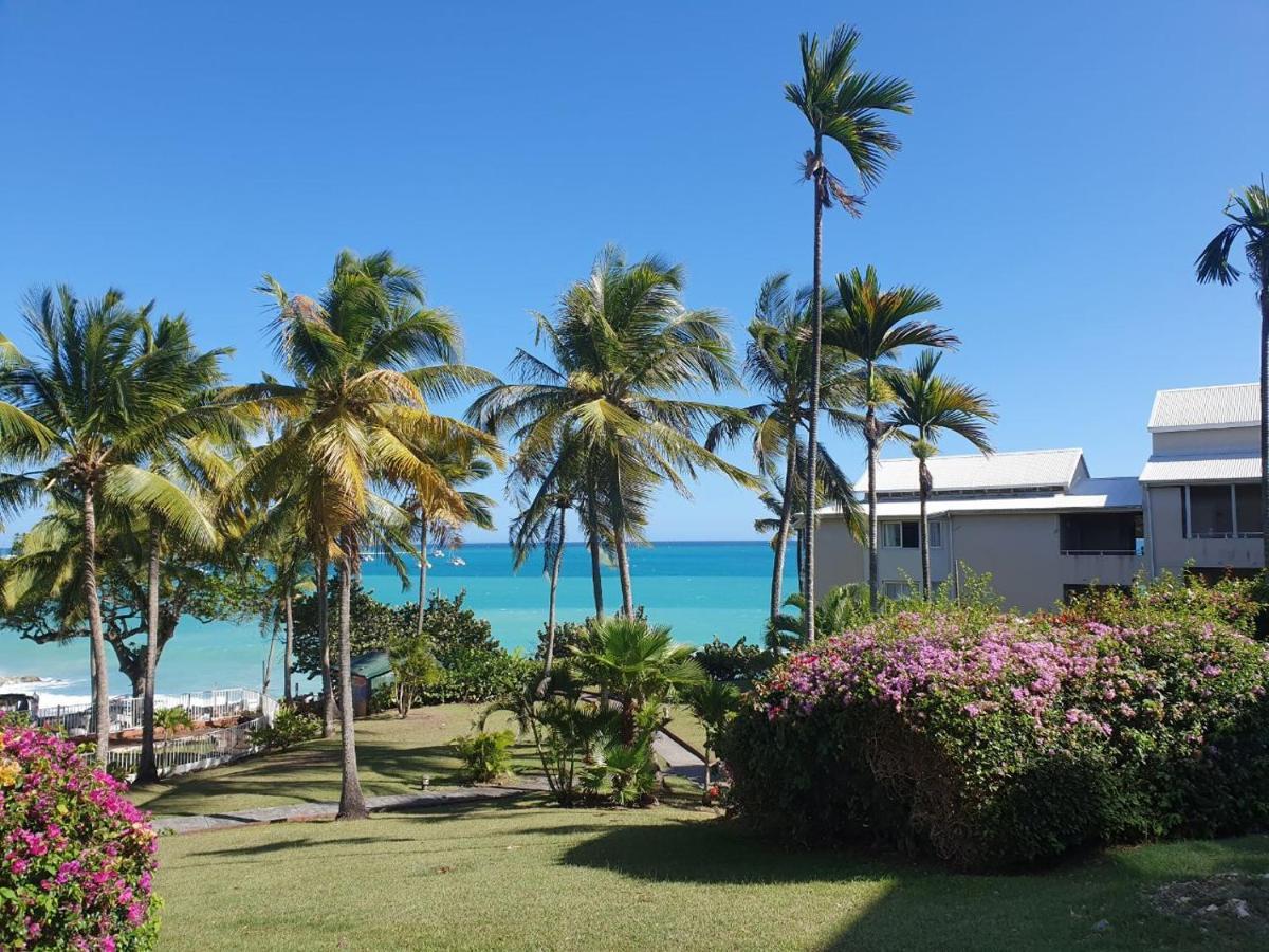 Grand De 41 M², Vue Et Jardin Tropical.