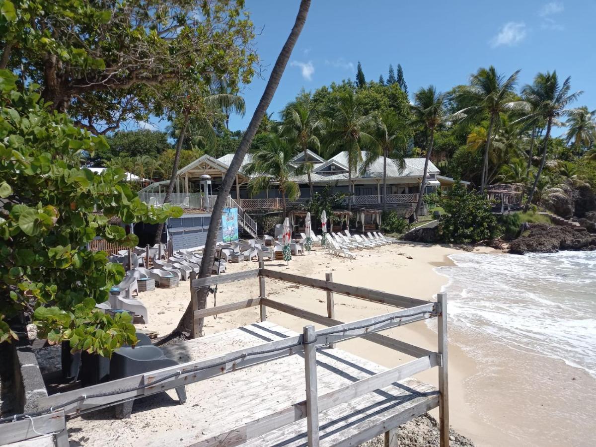 Grand De 41 M², Vue Et Jardin Tropical. *