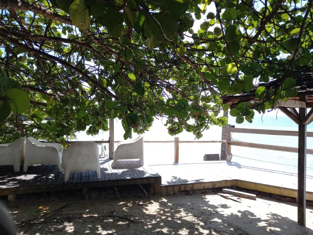 Grand De 41 M², Vue Et Jardin Tropical. Le Gosier (Grande-Terre)