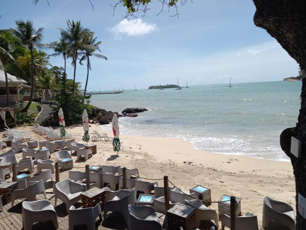 Grand De 41 M², Vue Et Jardin Tropical. *