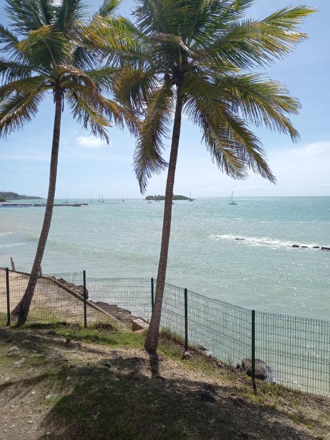 Grand De 41 M², Vue Et Jardin Tropical. Apartment Le Gosier (Grande-Terre)