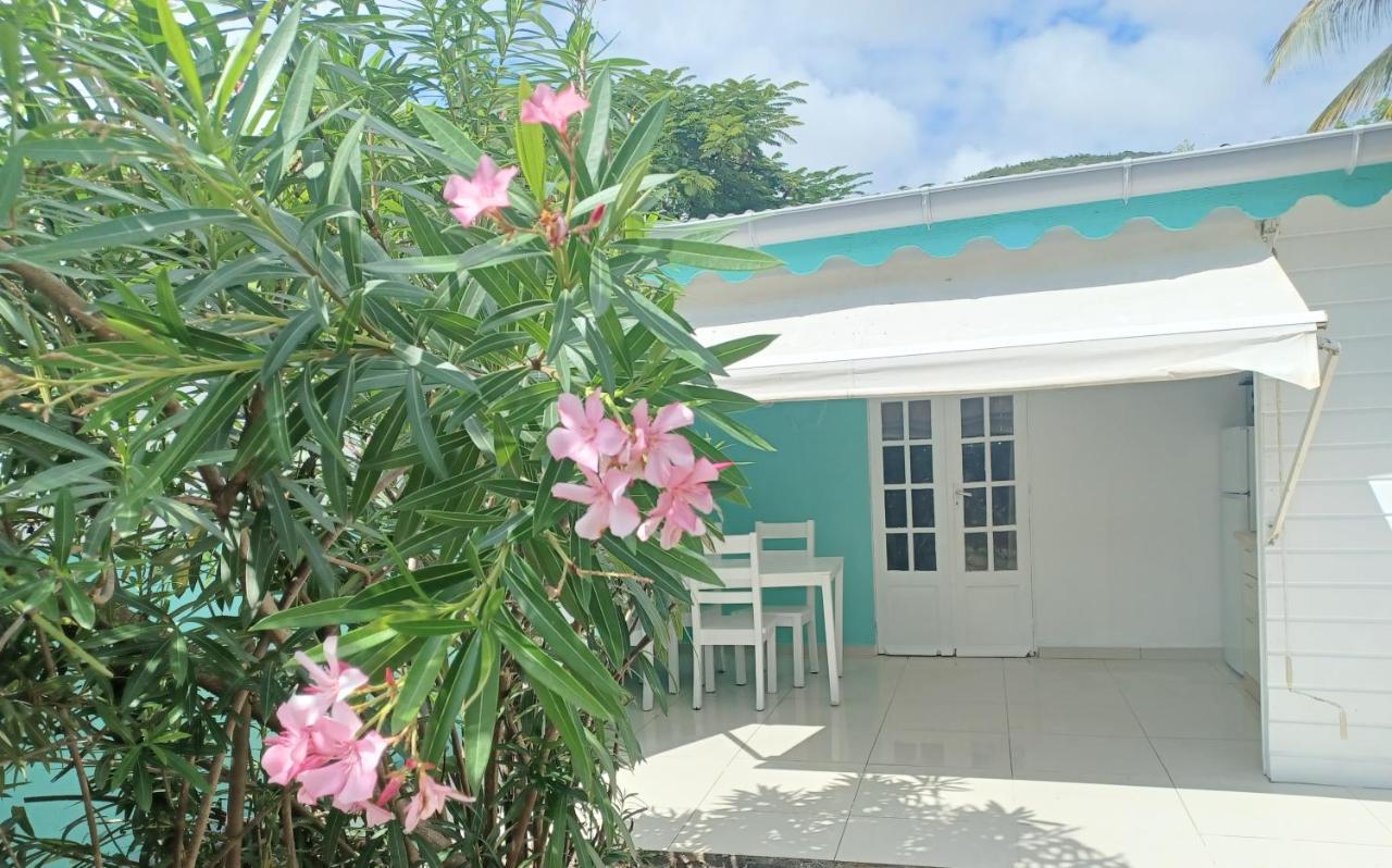 La Rose Du Bresil Marie-galante Hotel