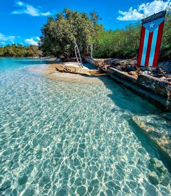 Apartment 2-br Modern Oceanfront Steps From Playa Sucia *