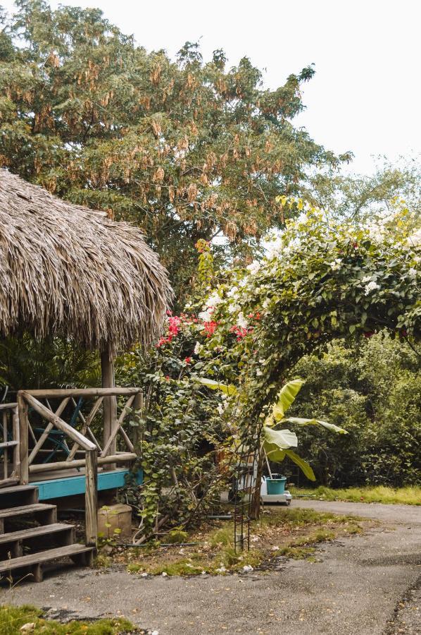 Mondi Lodge