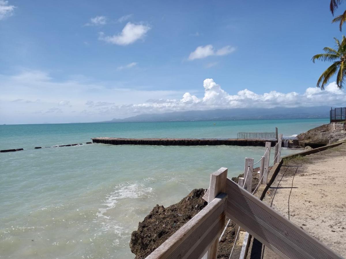 Grand De 41 M², Vue Et Jardin Tropical. Le Gosier (Grande-Terre)