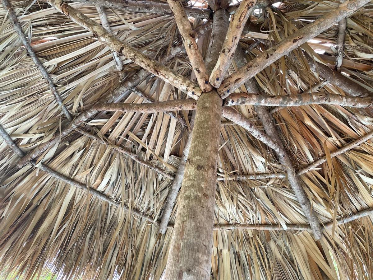 Azteca Treasure Beach
