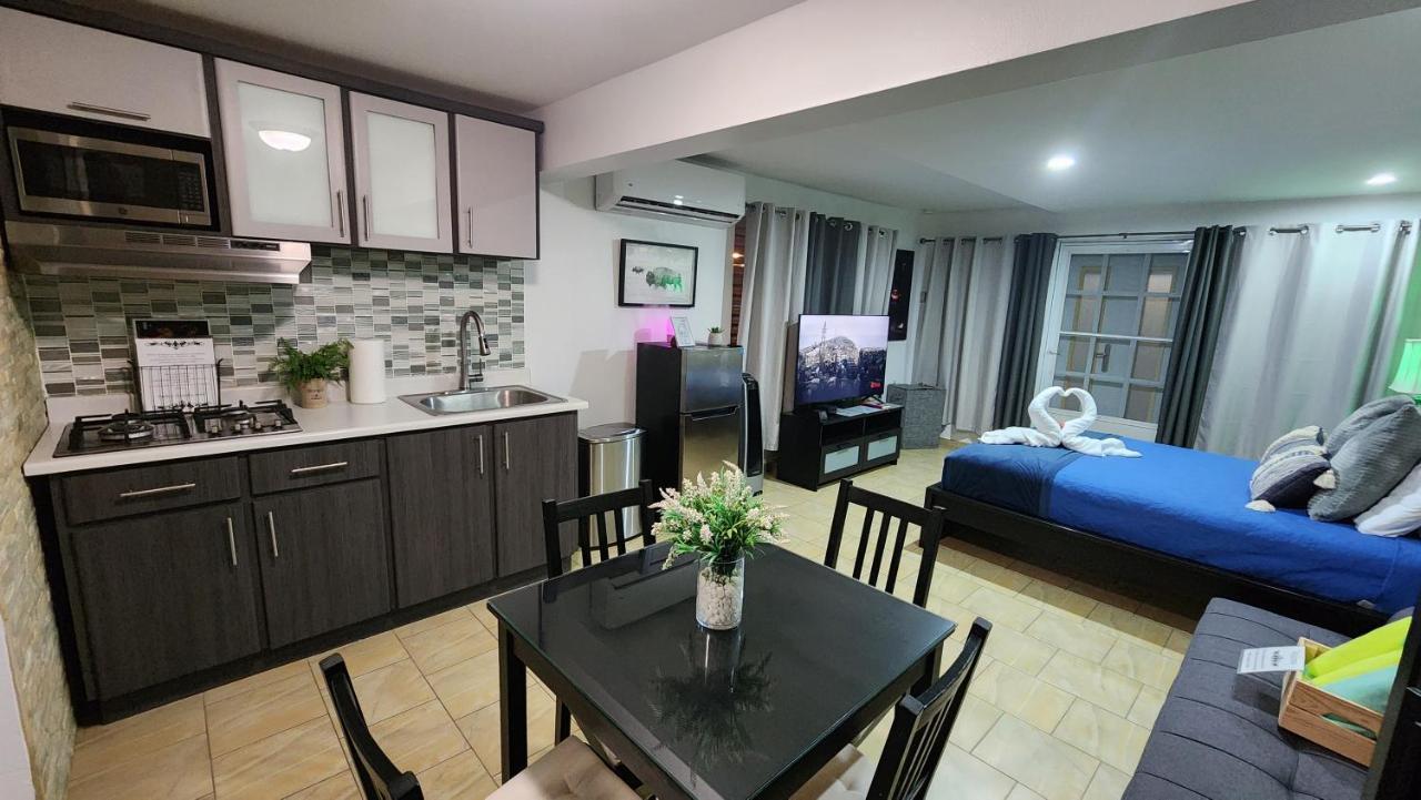 Palm's Luxury With Private Jacuzzi Aguada