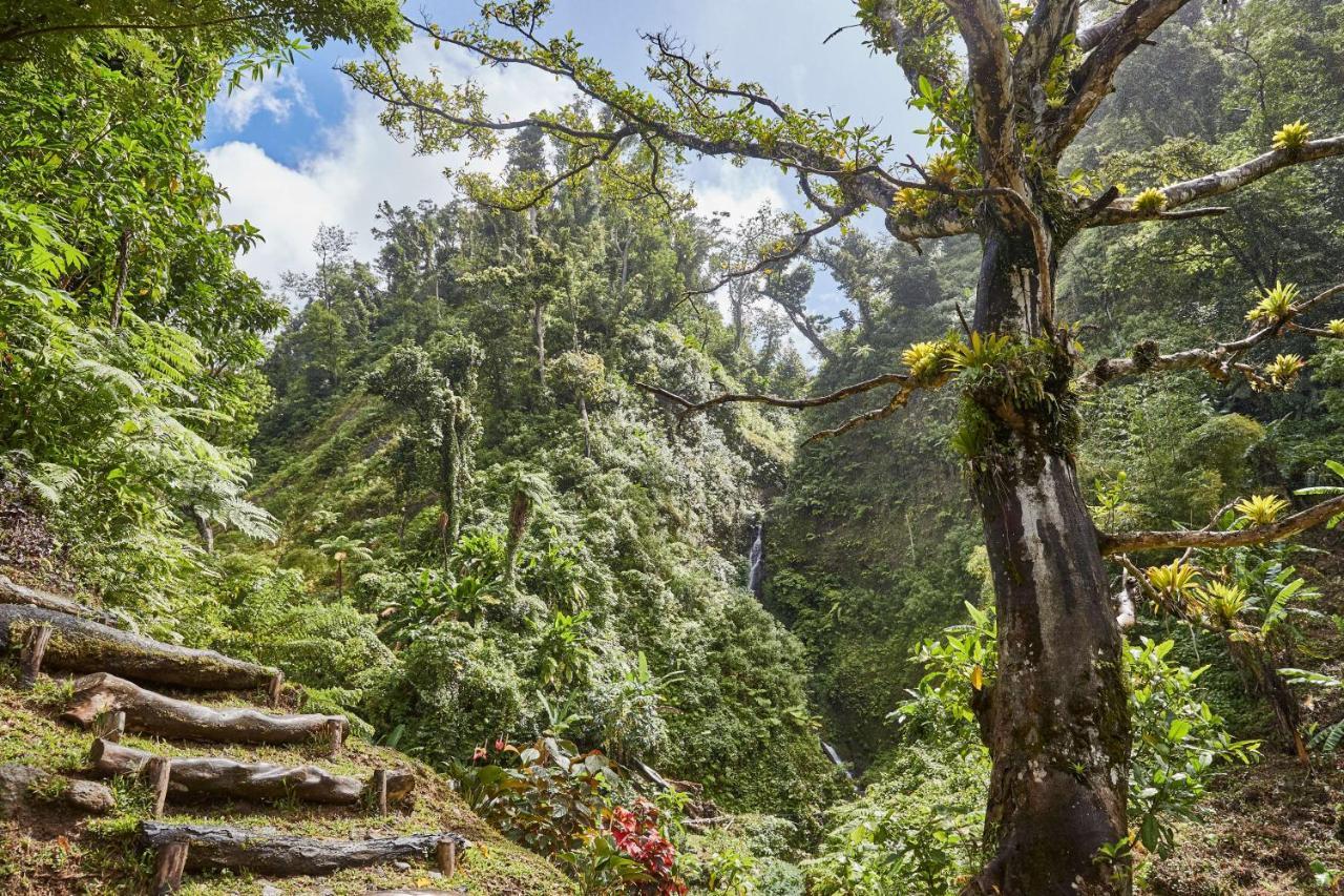 Intercontinental Dominica Cabrits & By Ihg Hotel Portsmouth