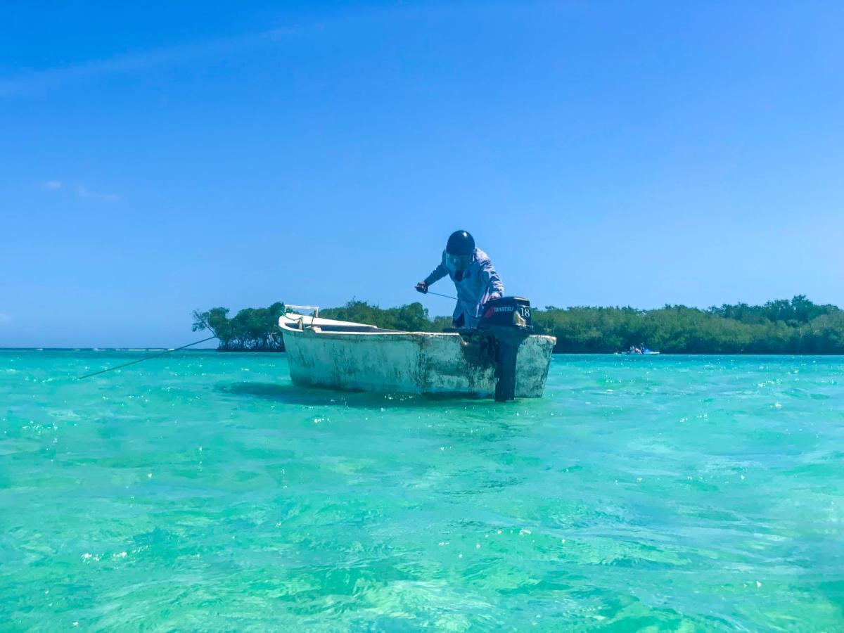 Calypso Boca Chica
