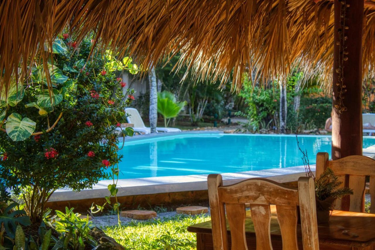 Hotel La Tortuga 3*