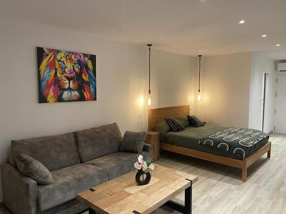 Apartment Avec Vue Mer, Terrasse Anse-marcel *