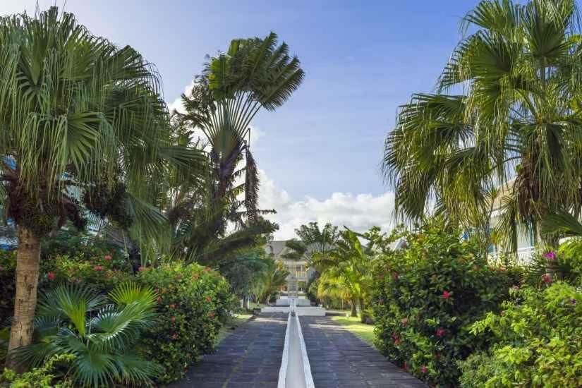 Plaisir Caraibes * Belle-Allée