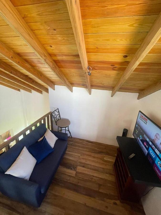 Apartamento Armonia De Terrenas Gorgeous Penthouse Las Terrenas