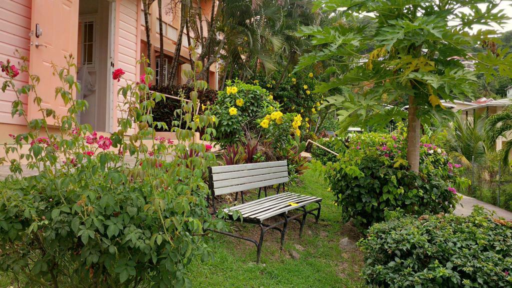 Bougainvillea * St. George's