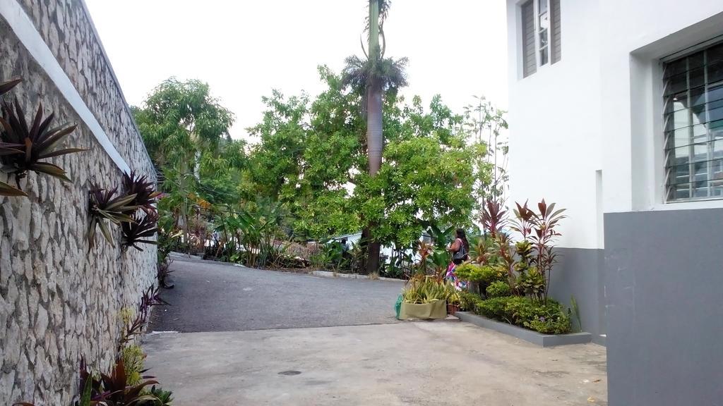 Palm View Hotel Montego Bay