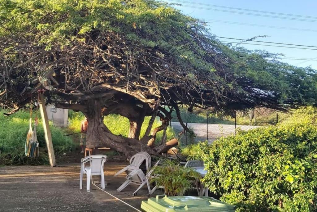 Casa Aichi Casa de férias Willemstad