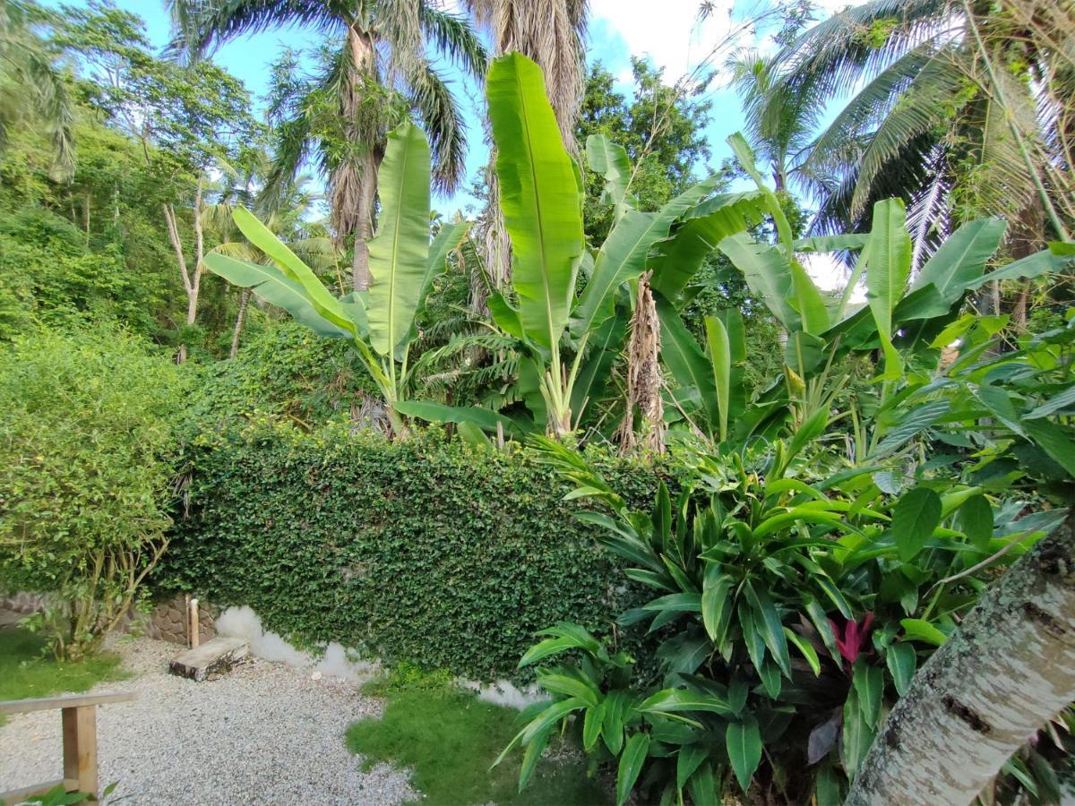 Aparthotel House Jardin Del Caribe Las Terrenas