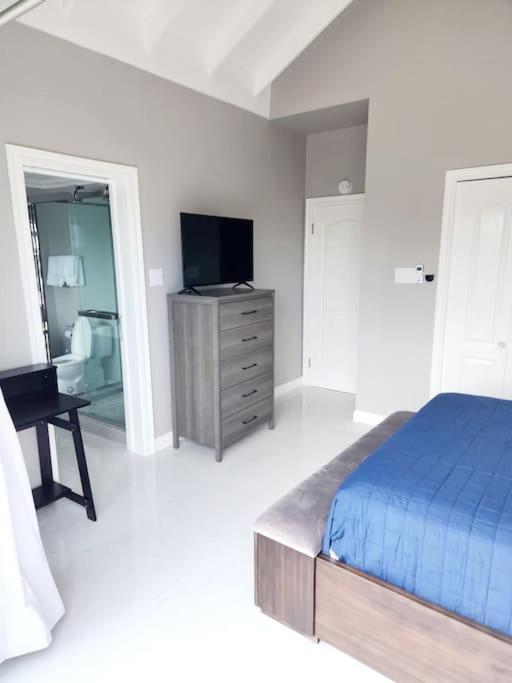 Brand New Luxurious Townhouse In *