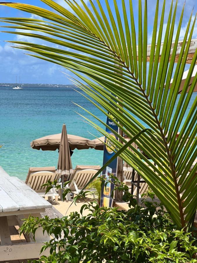 Pirate Of The Caribbean Sea View