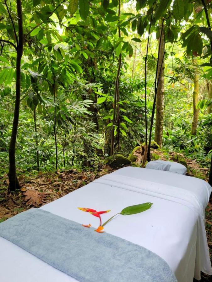 Alojamento Ecoscape Jamaica - Lavish 1-br By The River