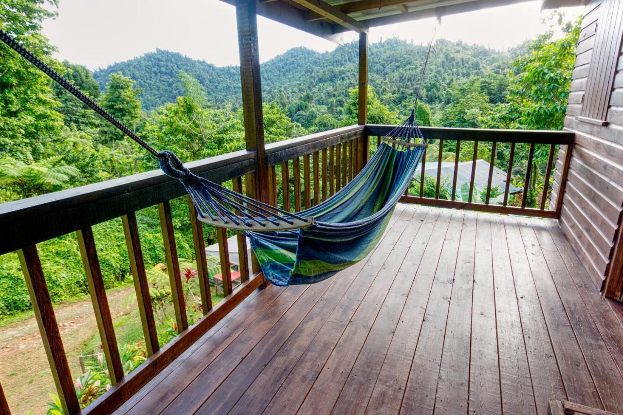 Lodge Roots Jungle Retreat *