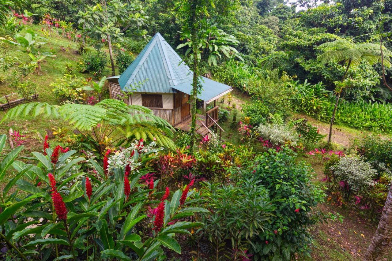 Lodge Roots Jungle Retreat Marigot