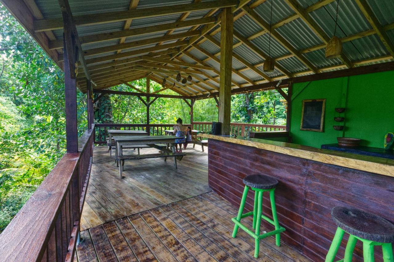 Roots Jungle Retreat Marigot