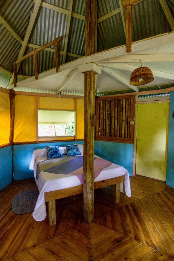 Roots Jungle Retreat Lodge