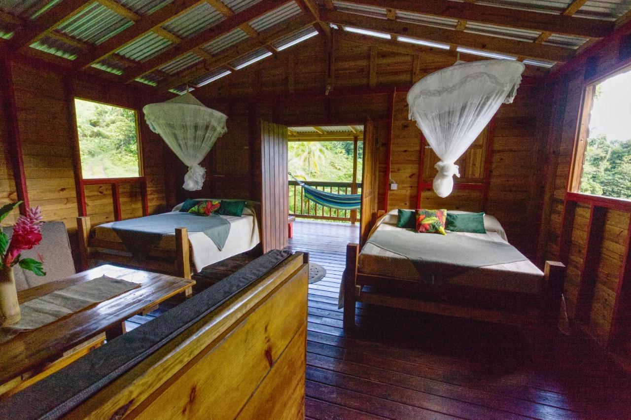 Roots Jungle Retreat Marigot
