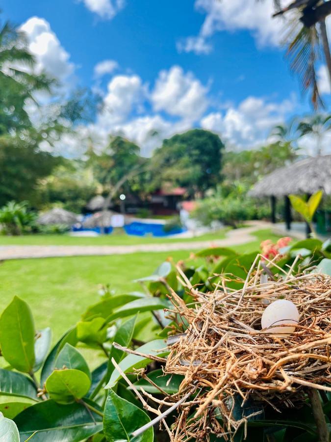 Hotel Rincon Rubi 2*