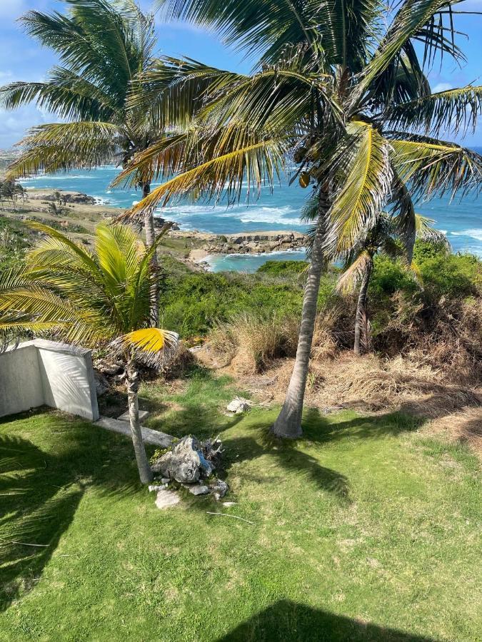'grand Riveire' Private With Ocean View Saint Philip